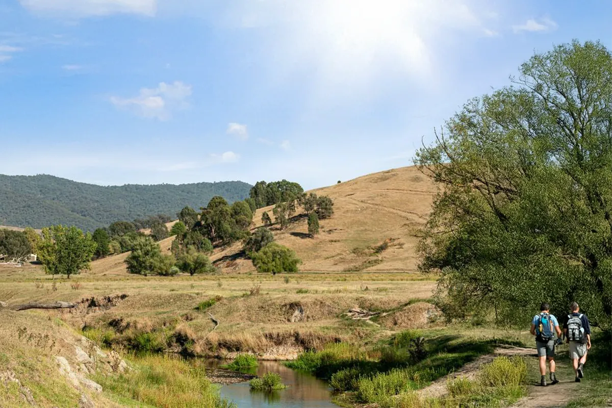 Creek near Bullioh - Towong Shire