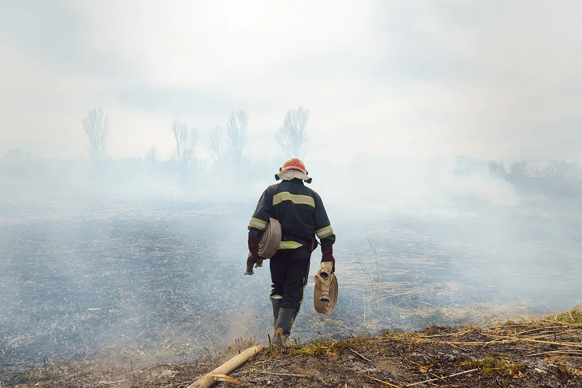 Fire recovery for Australia bushfires